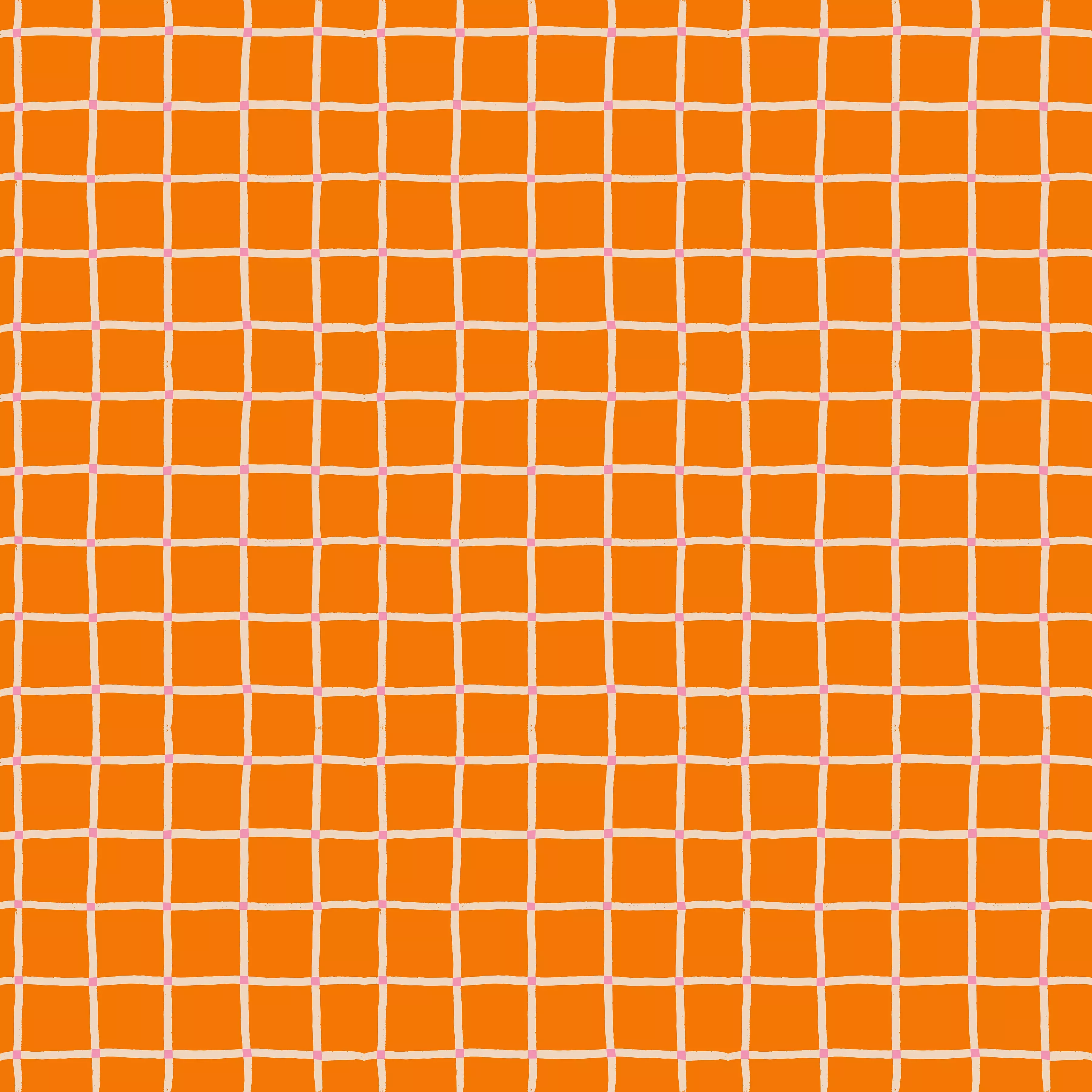 100 Aker Woods | Picnic Plaid Orange by Jill Howarth for Riley Blake | C15176-ORANGE