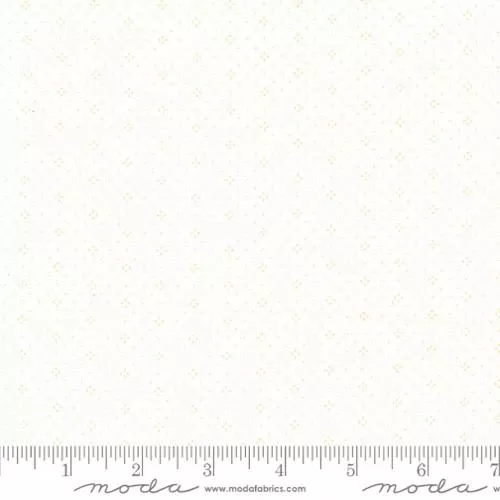 20488 84 Eyelet Ivory Latte