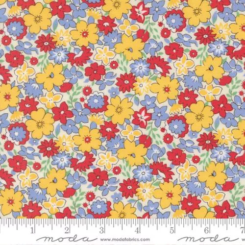 30's Playtime 2025 - Primary Bouncy Floral