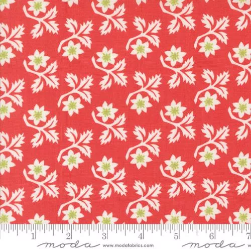 35402 13 Buon Natale Poinsettia