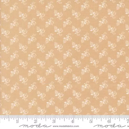 35404 12 Buon Natale Sugar Cookie