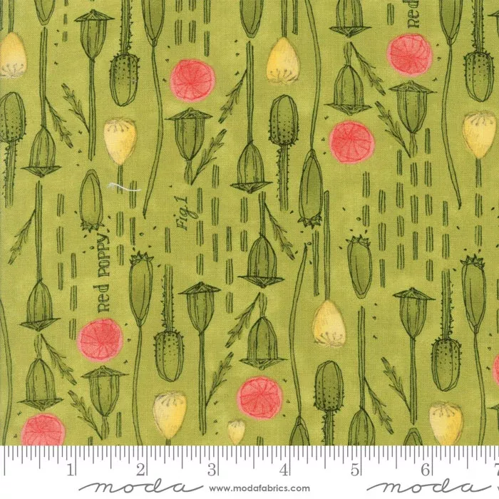 48602-15 Poppy Mae
