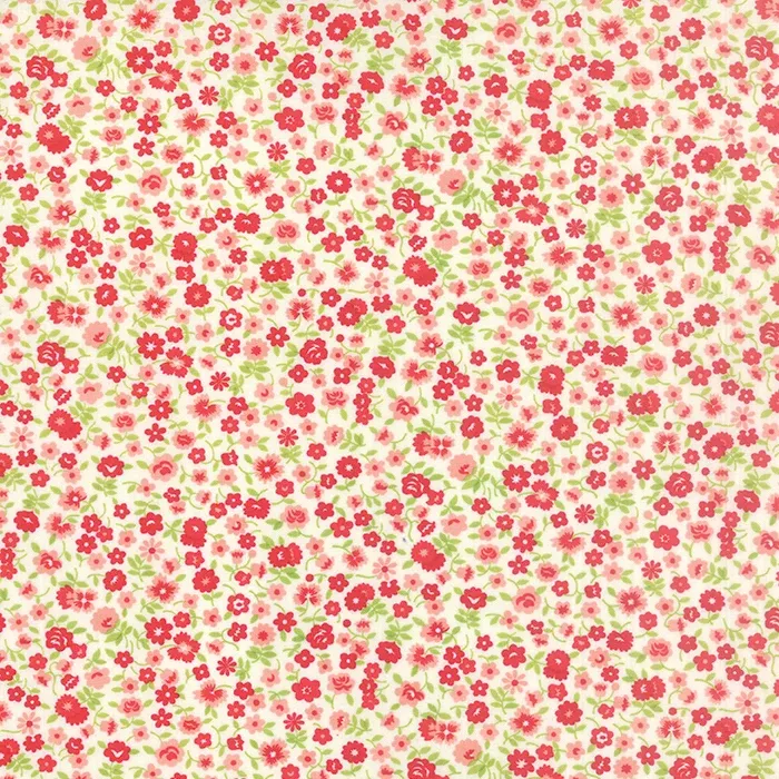 55126-17 Vintage Picnic