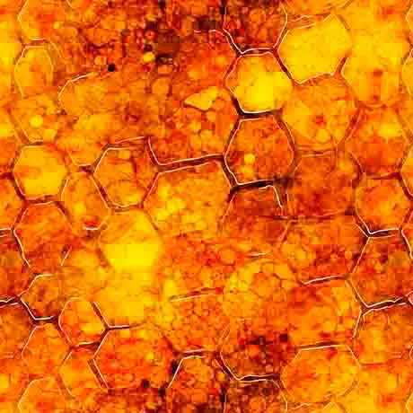 ALL THE BUZZ HONEYCOMB Style # : 30955 -O