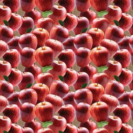 Apple Orchard - Red Delicious Apples