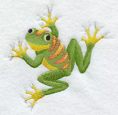 Clinging Tree Frog