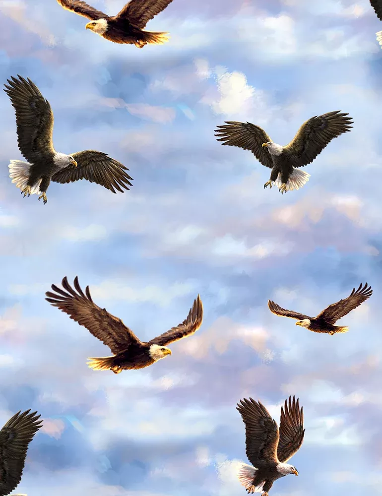 Flying Bald Eagles | Dona-C6732-Sky