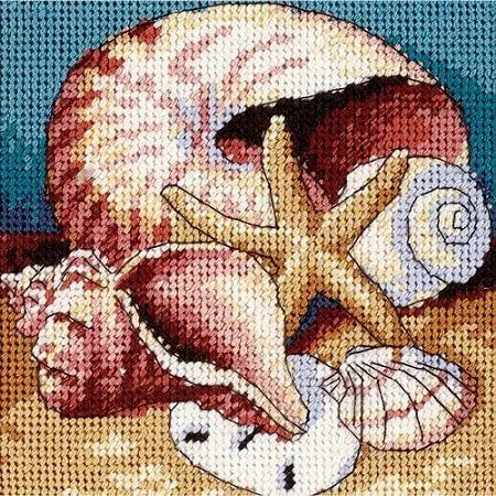 Shell Collage