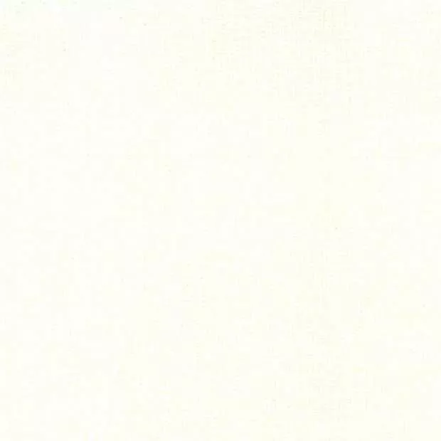Thatched Cream 48626 36 by Robin Pickens for Moda Fabrics. Sold in 1/2 Yard Increments