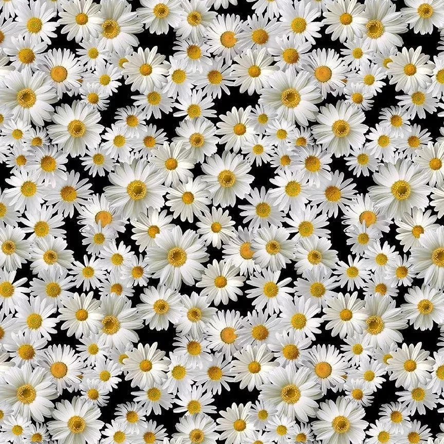 TT - Advice From A Sunflower CD2926 Black Blooming Packed Daisies