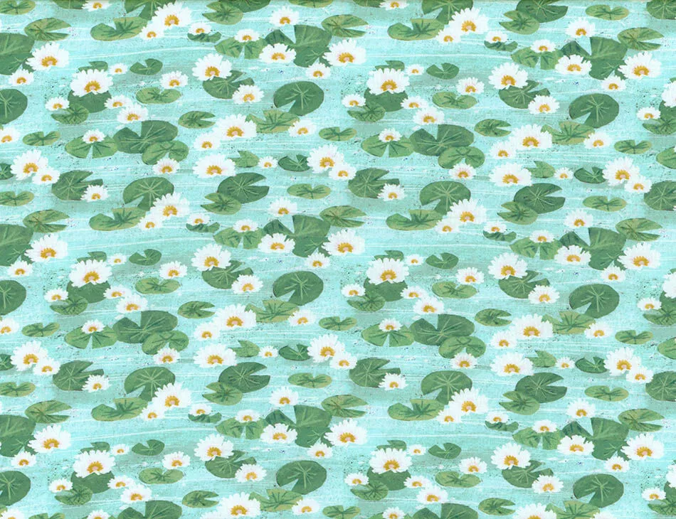 Water Lily Pond