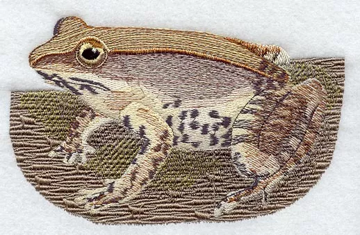 Wood Frog