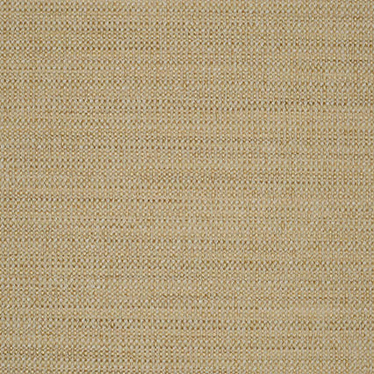 Woodlawn Seashell Covington Fabric