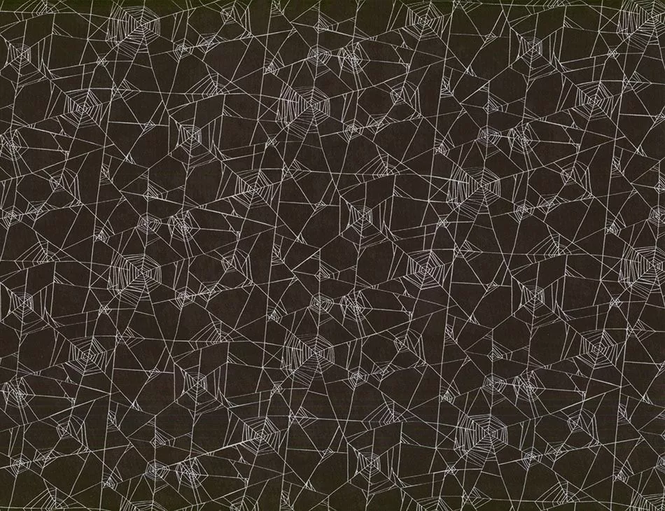 World Wide Web Onyx