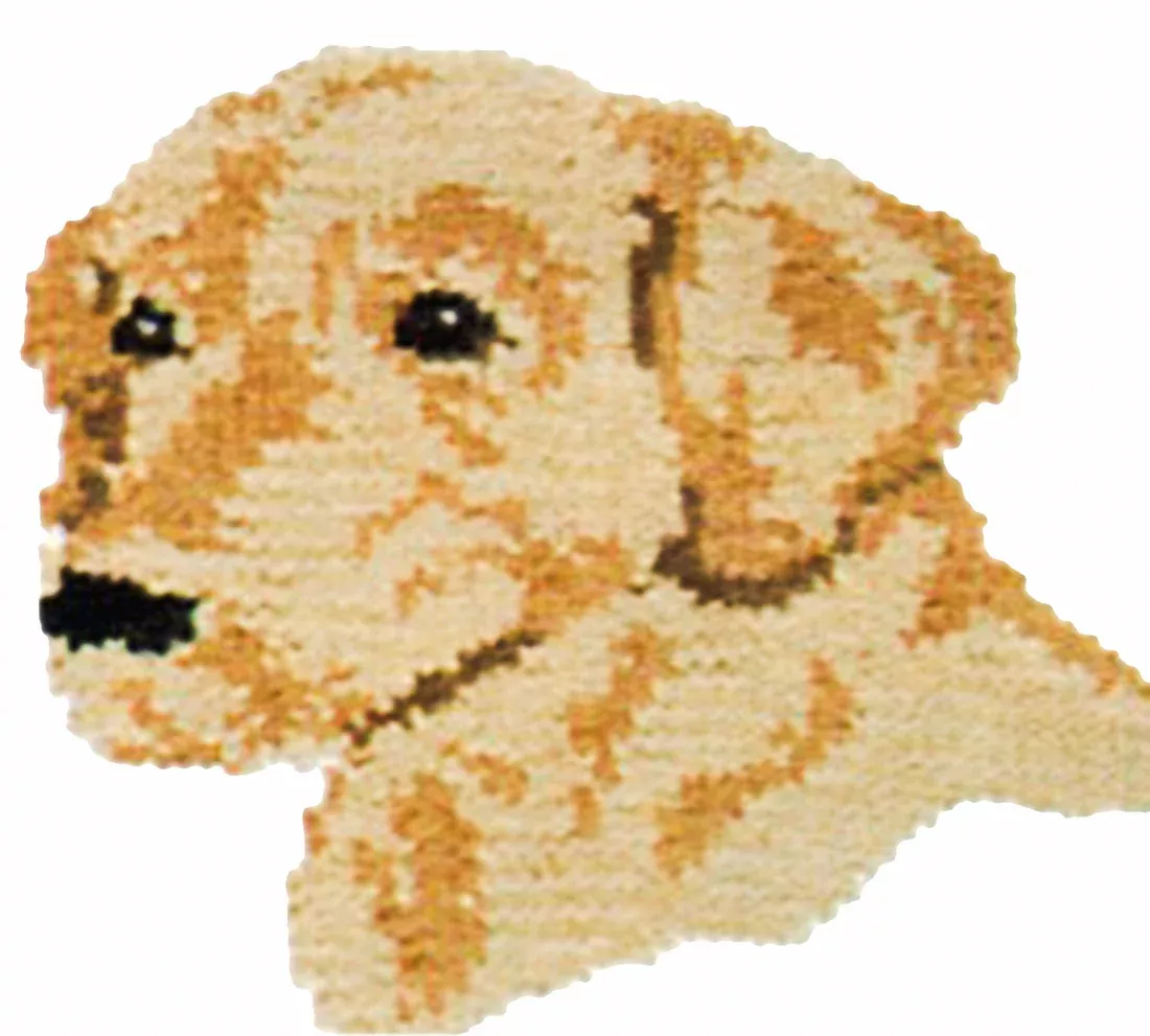Yellow Lab Jacket Pattern